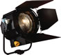 Icon Fresnel