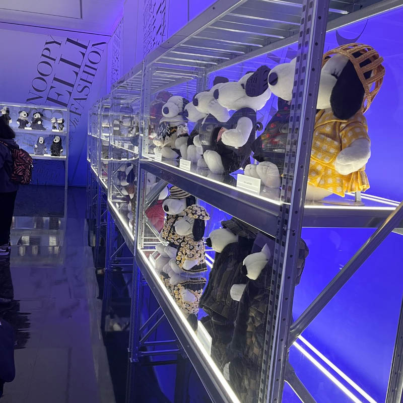 Alternative text - ASD / PROLYTE