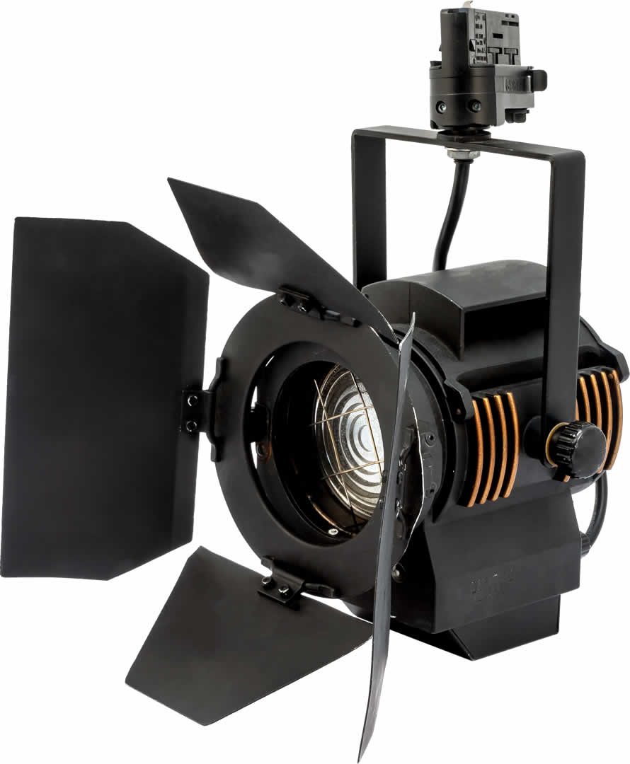 Alternative text - LTM